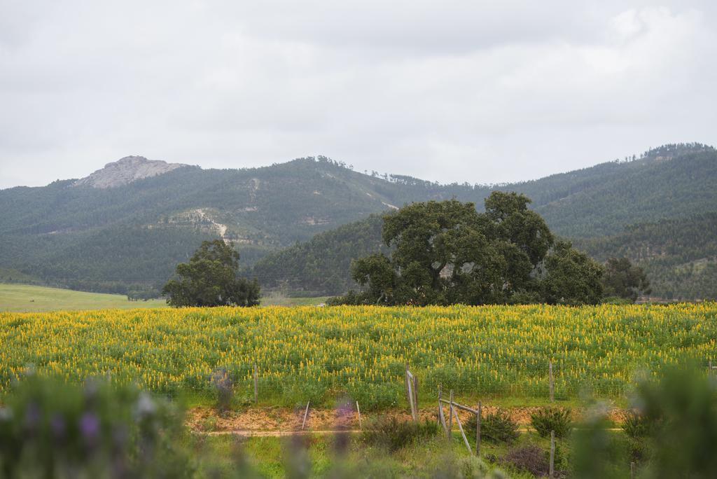 Herdade do Amarelo Nature&Spa Vila Nova de Milfontes Buitenkant foto